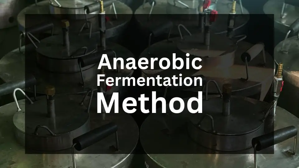 Anaerobic Process Coffee Explanation