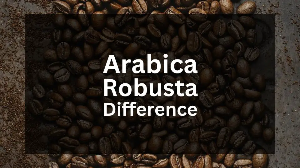 Understanding Difference between Arabica and Robusta