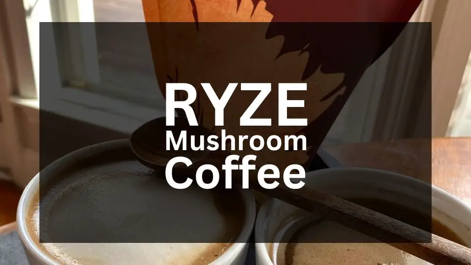 RYZE Mushroom Coffee Ingredients and Benefits